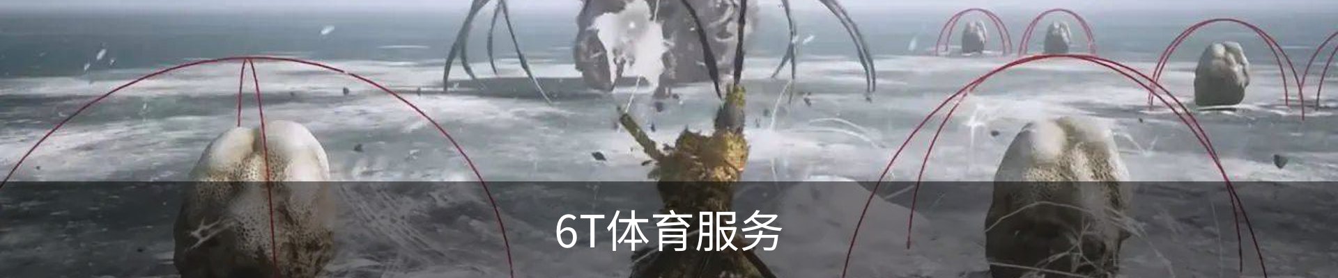6T体育服务